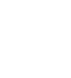 SSL & TLS secured